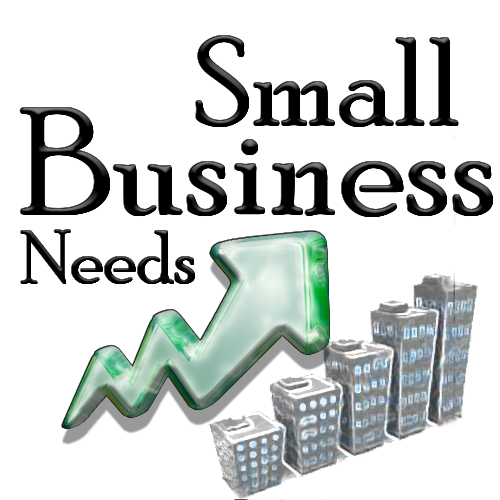 Small Business Needs