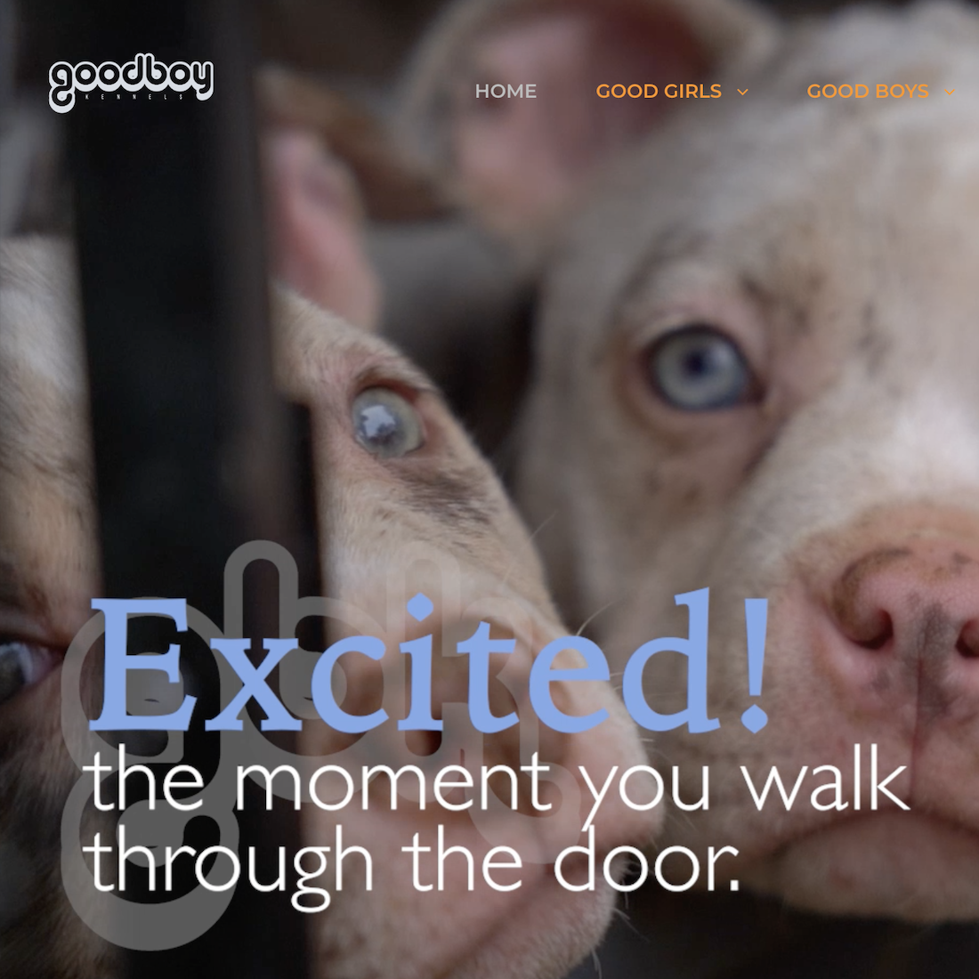 Full Premium Website + 1 Year Domain Name & Hosting + 3 Months Maintenance & Updates