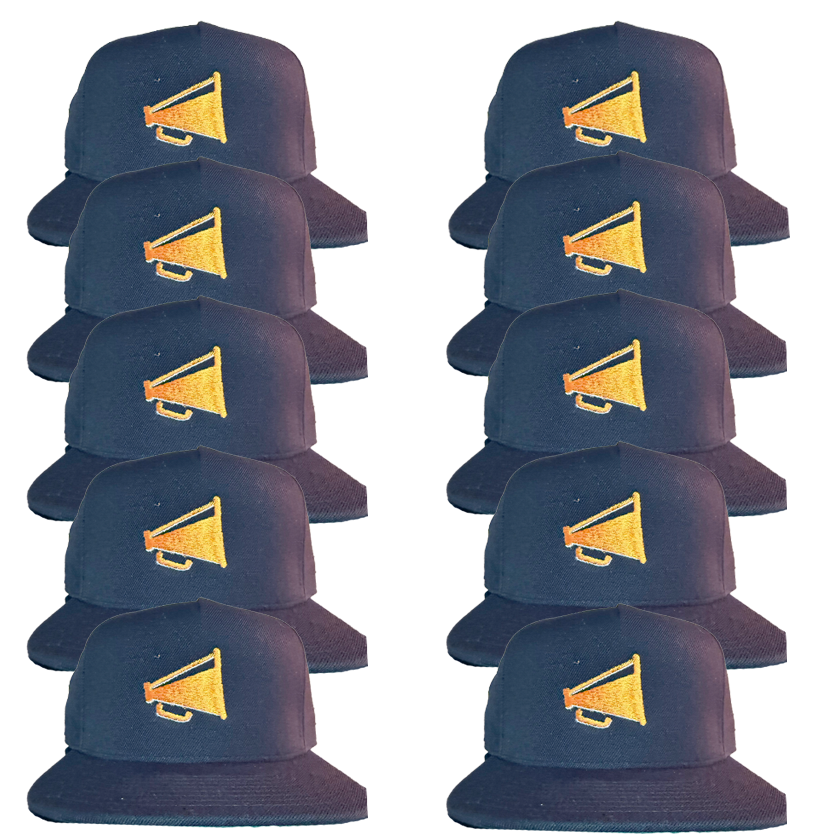 10 Custom Embroidered Snap Backs